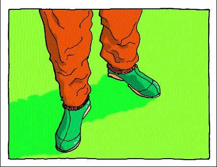 Inspect gloves and clothing